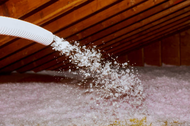 Best Residential Insulation in Hahnville, LA