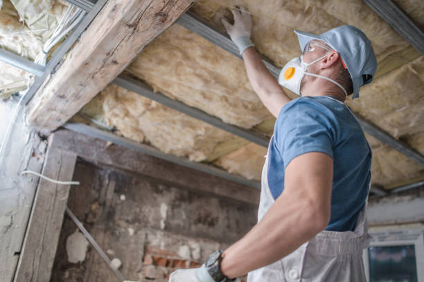 Best Cellulose Insulation in Hahnville, LA