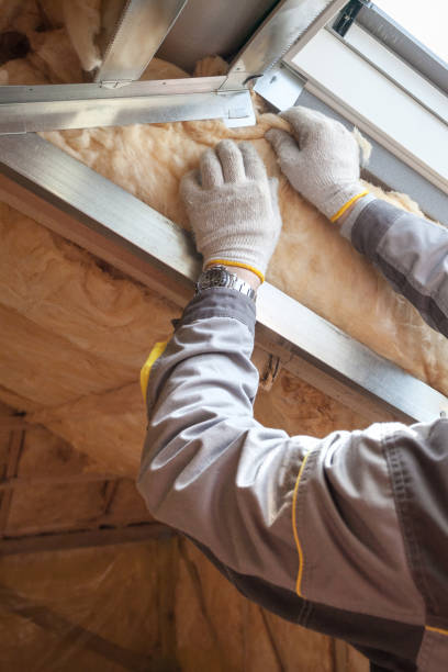 Best DIY Insulation Kits and Guidance in Hahnville, LA