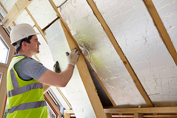 Professional Insulation Contractor in Hahnville, LA