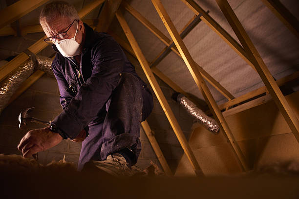Best Insulation Maintenance and Repair in Hahnville, LA