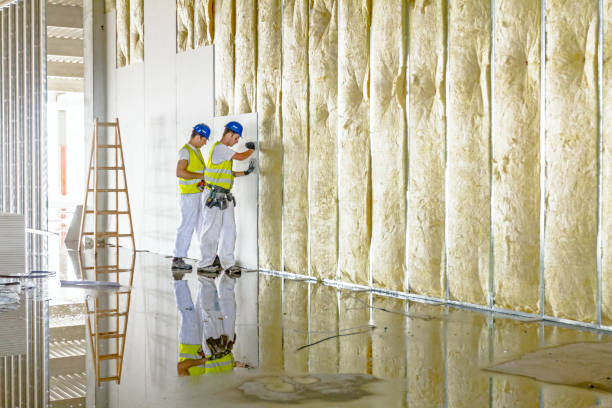Best Eco-Friendly Insulation in Hahnville, LA